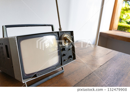 江戶東京花園 132479908