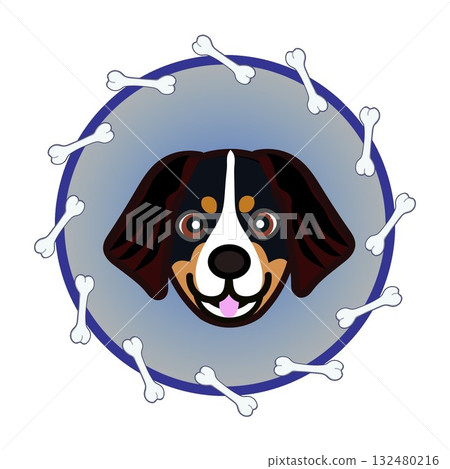 伯恩山犬的臉部呈圓形，由骨頭構成 132480216