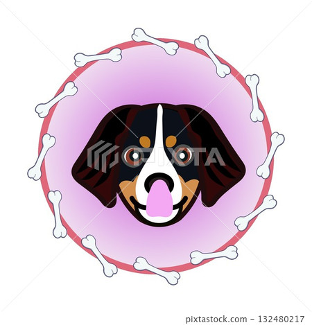 伯恩山犬的臉部呈圓形，由骨頭構成 132480217