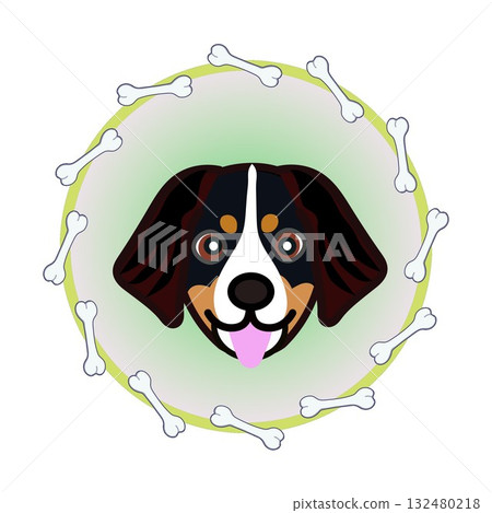 伯恩山犬的臉部呈圓形,由骨頭構成 伯恩山犬的臉部呈圓形,由骨頭構成 132480218