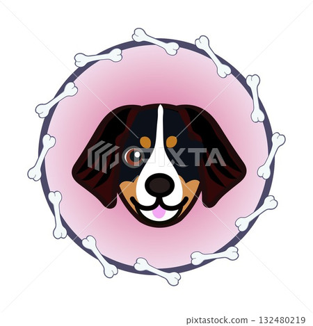 伯恩山犬的臉部呈圓形，由骨頭構成 132480219
