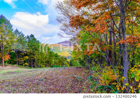 Autumn at the foot of Mt. Izumigatake 132480246