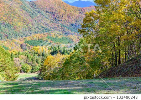 泉山岳腳下的秋天 132480248