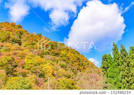 泉山岳腳下的秋天 泉山岳腳下的秋天 132480254
