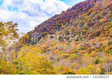 Autumn at the foot of Mt. Izumigatake Autumn at the foot of Mt. Izumigatake 132480257