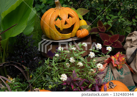 Halloween Halloween 132480344