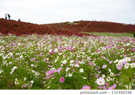三原山在秋天 132480596