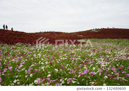 Hill of Miharashi in autumn 132480600