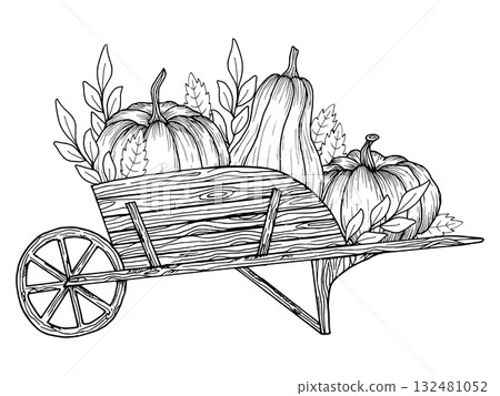 Wooden cart with pumpkins and leaves. Hand drawn vector graphics. Simple black graphic of a rustic vegetable cart. Sketch style outline illustration for Thanksgiving, harvest and autumn design. 132481052