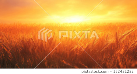 Golden Wheat Fields Gently Swaying Under the Warm Glow of a Sunset Horizon Golden Wheat Fields Gently Swaying Under the Warm Glow of a Sunset Horizon 132481282