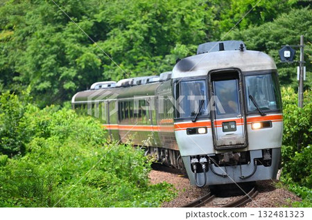 Special Kiha 85 series train going through Sakahogi curve 132481323