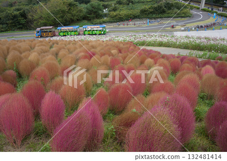 三原山在秋天 三原山在秋天 132481414