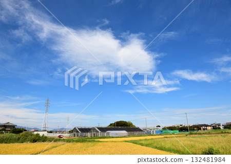The rural landscape of Samukawa under the blue sky and large white floating clouds 132481984