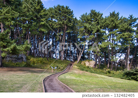 Tanesashi Coast, Tanesashi Natural Lawn and Yodo Pine Grove, Hachinohe City, Aomori Prefecture 132482405