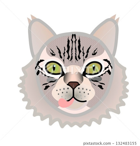 西伯利亞貓臉 西伯利亞貓臉 132483155