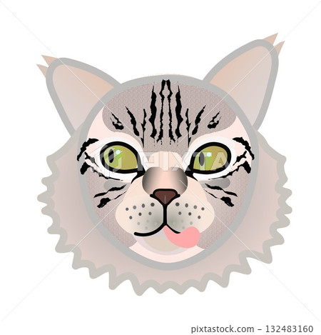 Siberian cat face 132483160