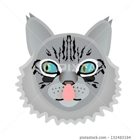 Siberian cat face Siberian cat face 132483184