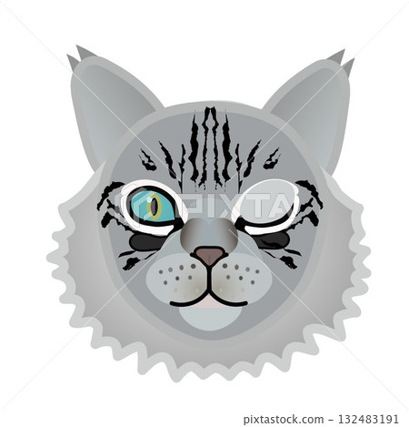 Siberian cat face 132483191