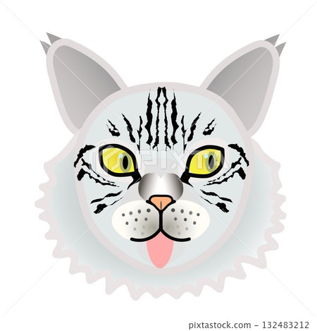 Siberian cat face Siberian cat face 132483212
