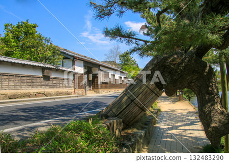 Shiomi nodami 132483290