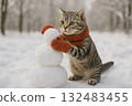 冬天，貓咪戴著紅色圍巾手套在雪地裡堆雪人 132483455
