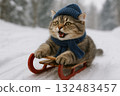 貓拉雪橇雪冬日風景 132483457