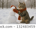 冬天，貓咪戴著紅色圍巾手套在雪地裡堆雪人 132483459