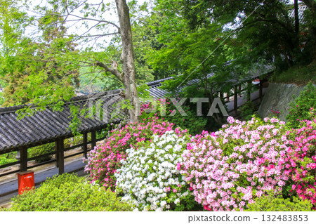 Kibitsu Shrine 132483853