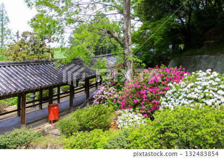 Kibitsu Shrine 132483854