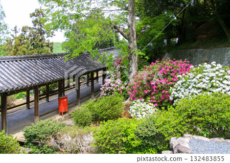 Kibitsu Shrine 132483855