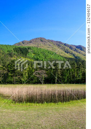 Samba mountain 132484017