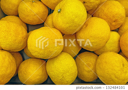 Yuzu ponzu sauce and yuzu tea for the winter solstice are great for winter! Photos of yuzu on display in the fruit section Yuzu ponzu sauce and yuzu tea for the winter solstice are great for winter! Photos of yuzu on display in the fruit section 132484101