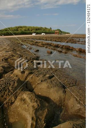 Aoshima Beach, Miyazaki (Devil's Washboard) 132484171