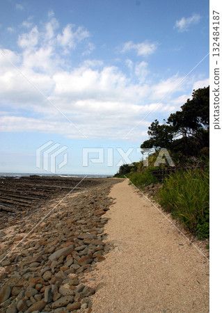 Aoshima Beach, Miyazaki (Devil's Washboard) Aoshima Beach, Miyazaki (Devil's Washboard) 132484187