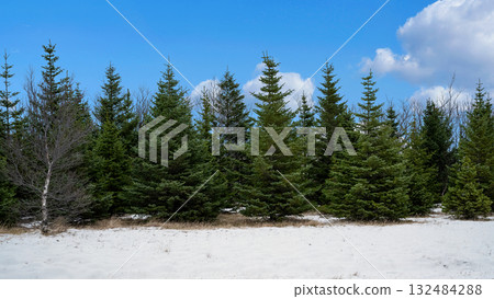Winter scenery of fresh snowy field with evergreen trees with blue sky background. Seasonal design or holiday themes for winter Winter scenery of fresh snowy field with evergreen trees with blue sky background. Seasonal design or holiday themes for winter 132484288