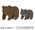 Brown bear and Asiatic black bear illustration set 132484826