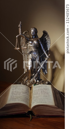 Lady justice statue symbolizing law and legal system 132485673
