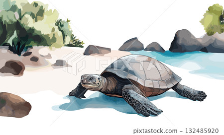 Galapagos Islands. Galapagos Islands hand drawn watercolor illustration Galapagos Islands. Galapagos Islands hand drawn watercolor illustration 132485920