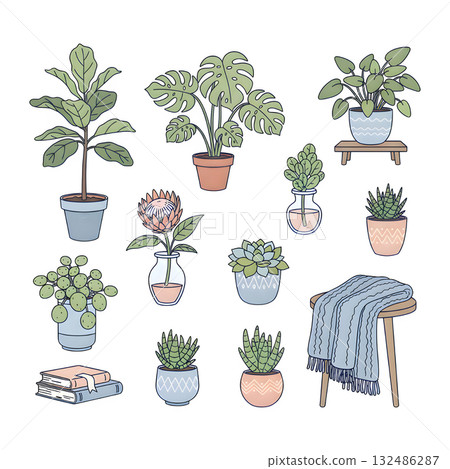Set of different tropical house plant. Ficus, monstera, protea, pellaea, succulent in various pot, vase. Scandinavian cozy home decor. illustration design. Set of different tropical house plant. Ficus, monstera, protea, pellaea, succulent in various pot, vase. Scandinavian cozy home decor. illustration design. 132486287