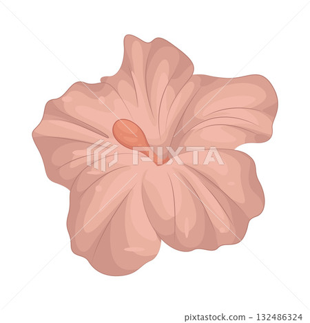 Illustration of hibiscus flower  132486324