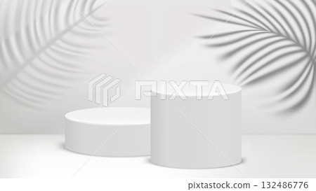 White room with white podium with plant shadows. 3d vector template for product design 132486776