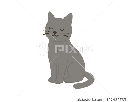 一隻面向前方坐著的灰貓的插圖 132486785