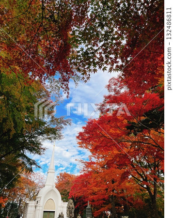 高尾山藥王院塔 紅葉風景 132486811