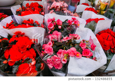 Bouquets of red and pink begonia flowers wrapped in white floral sleeves at a supermarket display. Supermarket flowers, spontaneous purchases, vibrant color psychology, retail flower sales 132486855