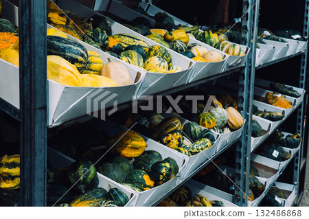 Colorful decorative gourds and squash sorted into white bins on display shelves. Thanksgiving produce styling, dual-purpose decor, edible harvest aesthetics, seasonal zero-waste trend 132486868