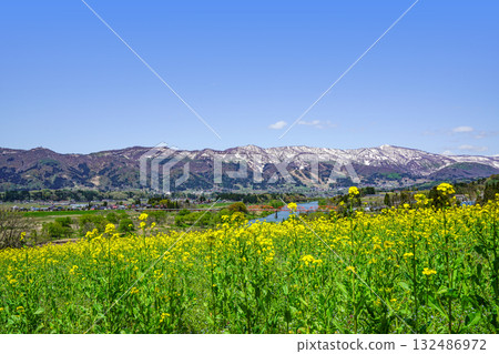 從菜花公園眺望的景色（飯山市） 132486972