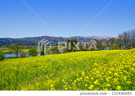 View from Nanohana Park (Iiyama City) 132486985