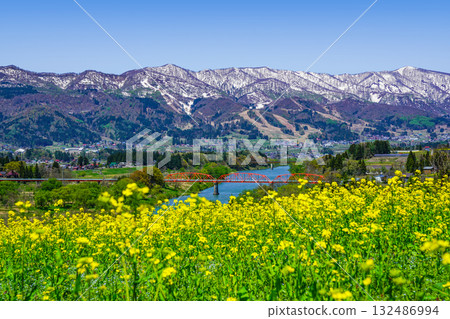 從菜花公園眺望的景色（飯山市） 132486994