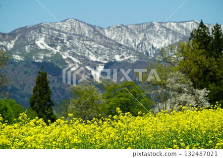 從菜花公園眺望的景色（飯山市） 132487021