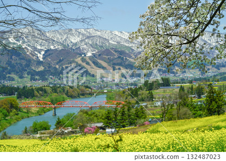 從菜花公園眺望的景色(飯山市) 從菜花公園眺望的景色(飯山市) 132487023